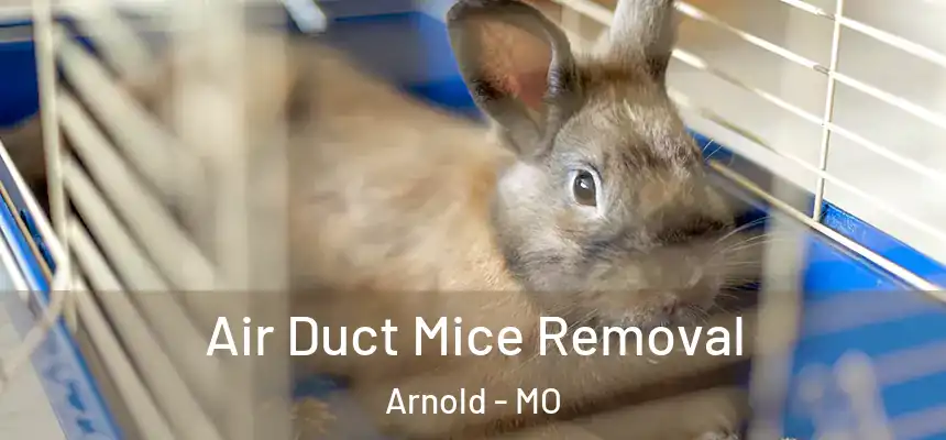  Air Duct Mice Removal Arnold - MO