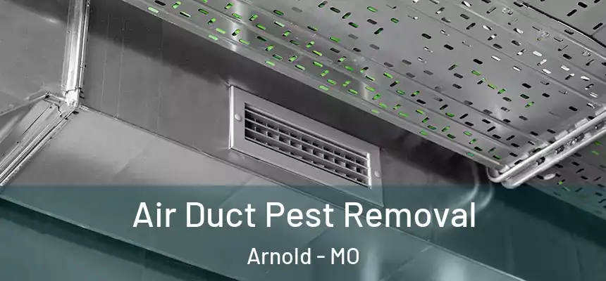 Air Duct Pest Removal Arnold - MO