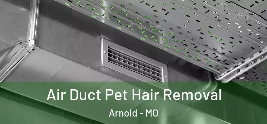  Air Duct Pet Hair Removal Arnold - MO