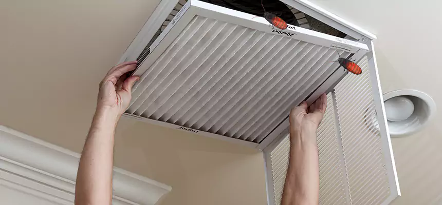 Our Insect Removal from Air Ducts Services in Arnold, MO