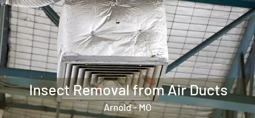 Insect Removal from Air Ducts Arnold - MO