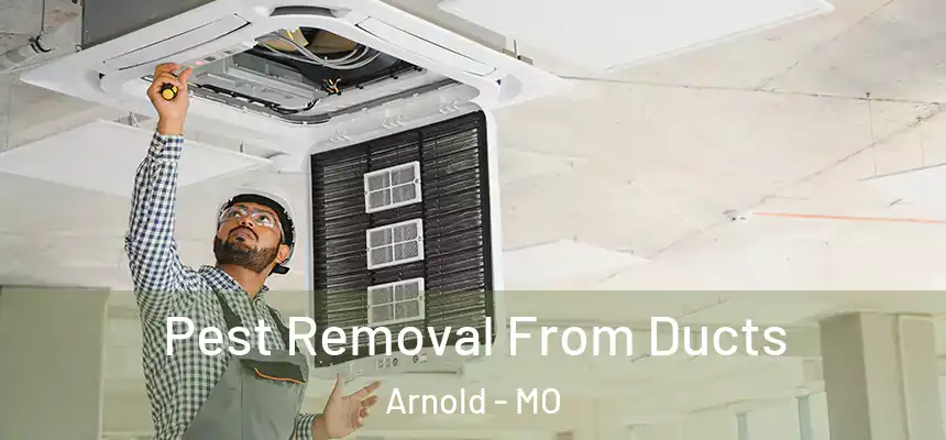  Pest Removal From Ducts Arnold - MO