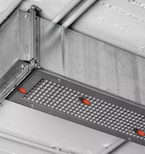 Affordable Insect Removal from Air Ducts in Arnold, MO