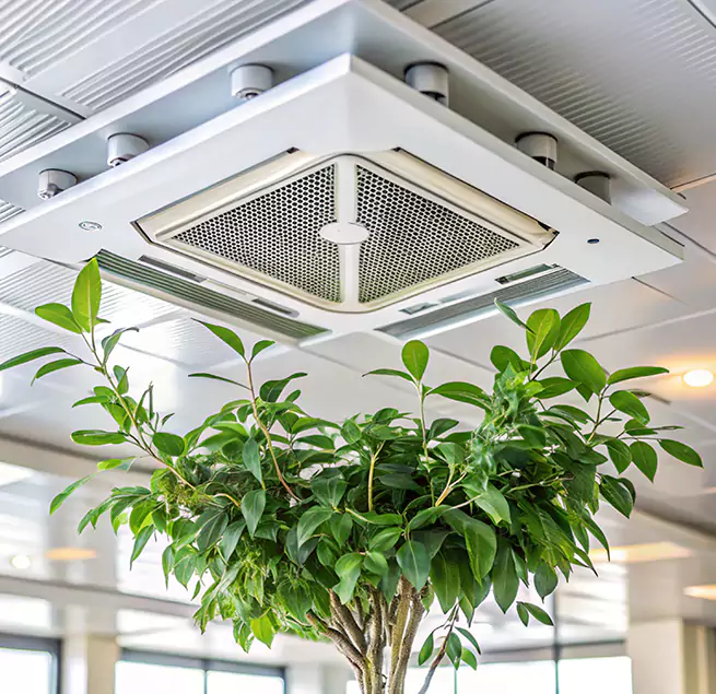 Why Homeowners & Businesses Trust Us in Arnold, MO?